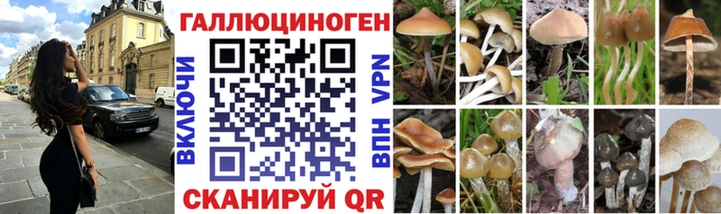что такое наркотик  это состав  Галлюциногенные грибы GOLDEN TEACHER  Севастополь 
